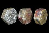 Lot: Hexagonal Goniatite & Orthoceras Jewelry Boxes - Pcs #104026-2